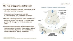 Parkinsons Disease – Neurobiology and Aetiology – slide 7